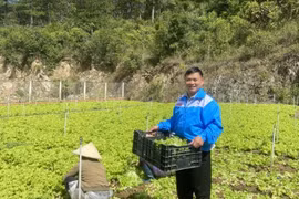 Hai tấm gương khởi nghiệp nông thôn