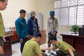 Bắt giữ 3 người săn bắt động vật rừng quý hiếm tại Vườn quốc gia Phú Quốc