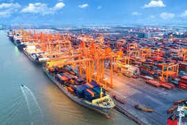 Sửa đổi, bổ sung một số điều về Biểu thuế nhập khẩu ưu đãi đặc biệt của Việt Nam 