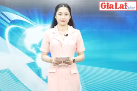 Gia Lai 48h: Gia Lai có 2.650 công dân lên đường nhập ngũ