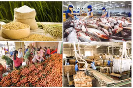 Phấn đấu tỷ lệ sản phẩm nông-lâm-thủy sản chế biến sâu tăng 10%