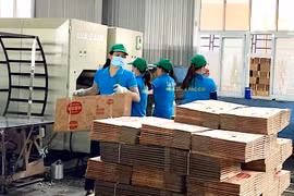 Gia Lai triển khai kế hoạch hỗ trợ doanh nghiệp nhỏ và vừa
