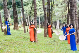 Rừng trong phố