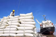 Xuất khẩu gạo 6 tháng đạt khoảng 5,2 triệu tấn