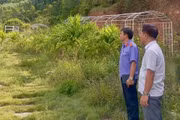 Kiến nghị xử lý vụ lấn chiếm gần 2 ha đất rừng phòng hộ ở phường Bồng Sơn