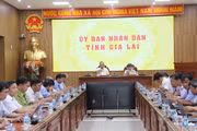 Tăng trưởng GDP toàn ngành Nông nghiệp và Môi trường đạt 3,8-3,85%