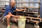 Đẩy mạnh phát triển công nghệ sinh học - Kỳ 3: Biến chất thải thành tài nguyên