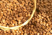 Ngày 7-6, cà phê giảm thêm 600 đồng/kg