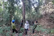 Gia Lai: Tăng cường kiểm tra, xử lý các hành vi vi phạm pháp luật về lâm nghiệp