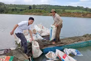 Hỗ trợ 30 nghìn con cá giống cho 20 hộ dân làng Đak Mong