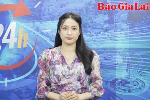 Gia Lai 24h: Đăng thông tin sai sự thật, 1 cá nhân bị Công an xử phạt