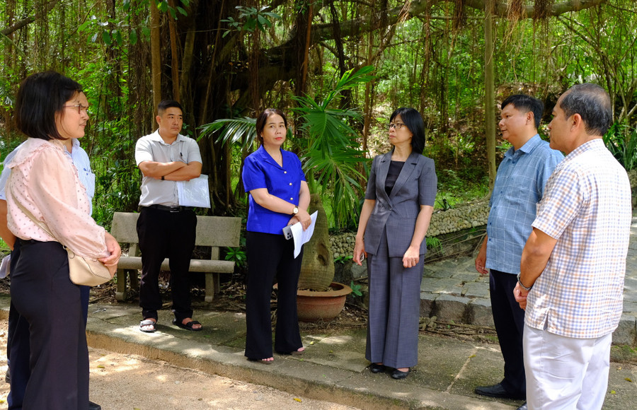 អនុប្រធានគណៈកម្មាធិការប្រជាជនខេត្ត Nguyen Thi Thanh Lich (ទីបីពីស្តាំ) ចុះអង្កេតតំបន់ទេសចរណ៍ Ghenh Rang។ រូបថត៖ ង៉ុក ញួន pho-chu-tich-ubnd-tinh-nguyen-thi-thanh-lich-thu-3-tu-phai-sang-khao-sat-khu-du-lich-ghenh-rangjpg.jpg