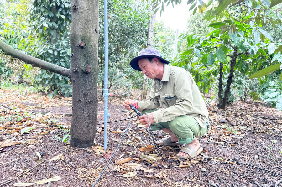 Việc lắp đặt hệ thống tưới tự động cho vườn cây giúp tiết kiệm nhân lực, thời gian. Ảnh: H.D cac-doanh-nghiep-da-lap-dat-he-thong-tuoi-tu-dong-cho-vuon-cay-nham-tiet-kiem-nhan-luc-thoi-gian-anh-ha-duy.jpg