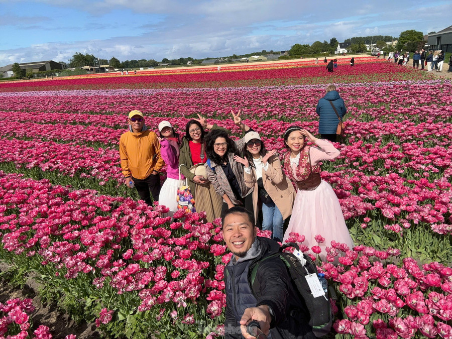 Anh Quốc Bảo (28 tuổi, TPHCM), người vừa có chuyến đi kết hợp Keukenhof và Tulip Experience, cho biết: "Keukenhof thì hoành tráng như một công viên nghệ thuật sắp đặt từ hoa. Còn Tulip Experience lại mang đến trải nghiệm gần gũi hơn. Tìm hiểu về lịch sử và cách trồng, chăm sóc hoa tulip cũng rất hay. Nếu có thời gian, mình khuyên mọi người nên đi cả hai nơi để có cái nhìn trọn vẹn." Anh Quốc Bảo (28 tuổi, TPHCM), người vừa có chuyến đi kết hợp Keukenhof và Tulip Experience, cho biết: "Keukenhof thì hoành tráng như một công viên nghệ thuật sắp đặt từ hoa. Còn Tulip Experience lại mang đến trải nghiệm gần gũi hơn. Tìm hiểu về lịch sử và cách trồng, chăm sóc hoa tulip cũng rất hay. Nếu có thời gian, mình khuyên mọi người nên đi cả hai nơi để có cái nhìn trọn vẹn."