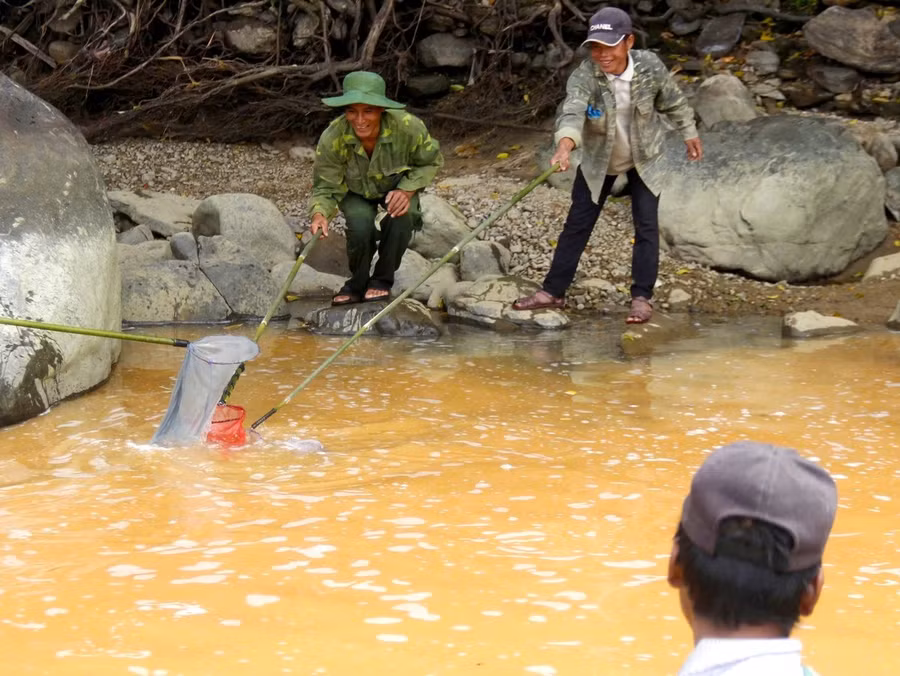 Người Giẻ Triêng 'gây mê' bắt cá bằng cây rừng ảnh 7