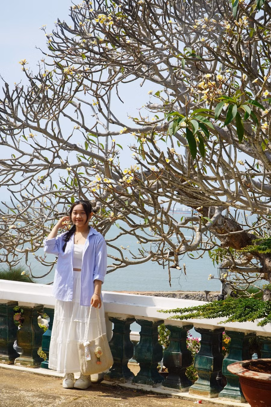 Thiếu nữ chụp hình dưới gốc hoa sứ