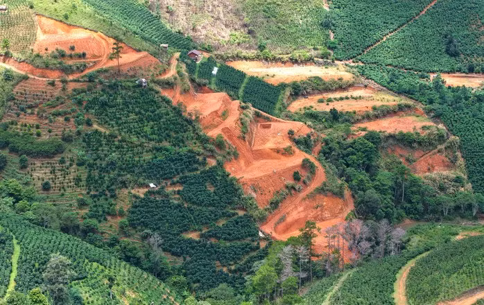 "Đi ngoài đường thì không thể nào thấy nhưng nếu lên các ngọn đồi cao thì dễ dàng thấy nhiều triền đồi đã bị san gạt. Màu đất còn đỏ chứng tỏ sườn đồi này được san gạt chưa lâu" - một người dân ở đây chia sẻ.