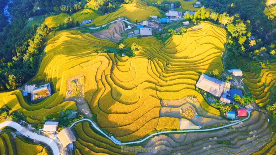 Xà Phìn là thôn vùng cao của xã Phương Tiến, huyện Vị Xuyên, cách TP. Hà Giang khoảng 20km, nằm dưới chân dãy Tây Côn Lĩnh có độ cao trên 1.000m.Thời điểm cuối tháng 9 đầu tháng 10, khi lúa đã ngả màu vàng óng ả trên những thửa ruộng bậc thang, tạo nên một khung cảnh tuyệt đẹp giữa núi rừng trùng điệp.