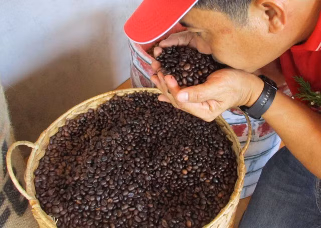 Giá cà phê tăng nóng trong 4 phiên gần đây