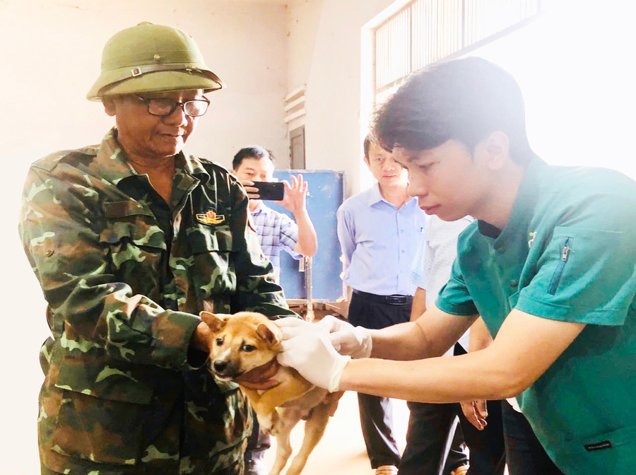 Để phòng-chống bệnh dại hiệu quả, người dân cần tiêm phòng vắc xin dại cho chó, mèo và quản lý vật nuôi theo đúng quy định. Ảnh: C.T.V 2.jpg
