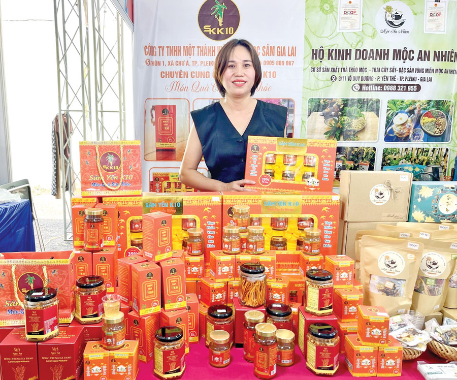 Công ty TNHH một thành viên Khoa học sâm Gia Lai được hỗ trợ tham gia nhiều sự kiện XTTM. Ảnh: T.N 11-9167.jpg