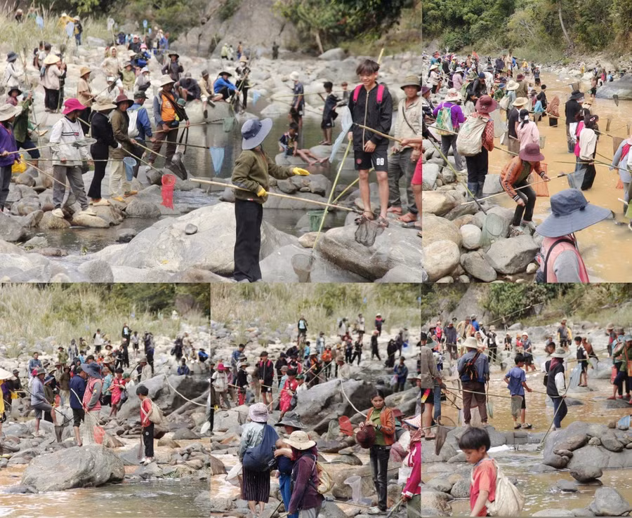 Người Giẻ Triêng 'gây mê' bắt cá bằng cây rừng ảnh 9