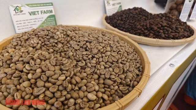 Giá cà phê diễn biến khó lường