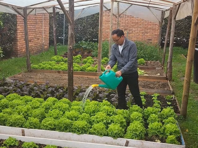 Vườn rau 'cải thiện chất xanh' của các tu sĩ Việt Nam tại thủ đô Bogotá, Colombia