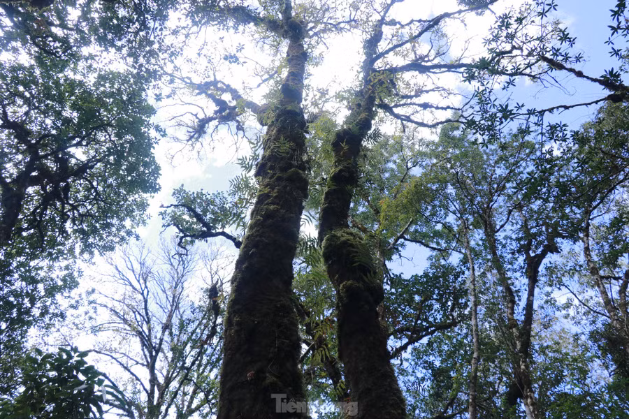 Khu Bảo tồn hiện còn rất nhiều hệ động, thực vật vô cùng quý hiếm, cần được bảo vệ.