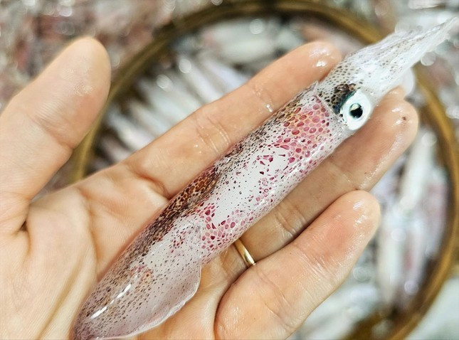 Mực để cuốn rau muống phải chọn loại thật tươi, da còn nhấp nháy. Mực để cuốn rau muống phải chọn loại thật tươi, da còn nhấp nháy.