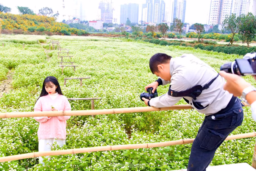 Những cánh hoa mỏng manh, nhỏ bé miền sơn cước bung nở giữa lòng Thủ đô thu hút nhiều du khách đến tham quan, chụp hình.
