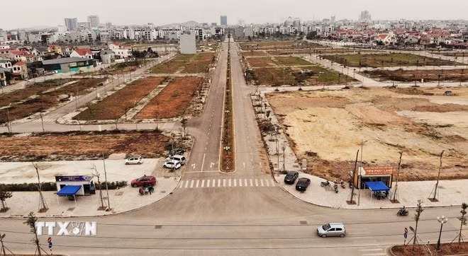 (Ảnh: Danh Lam/TTXVN)