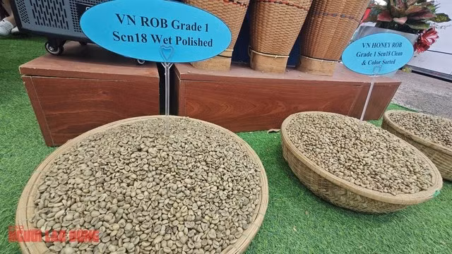 Giá cà phê ngày càng khó đoán