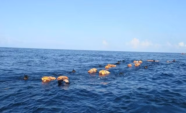 Lữ đoàn 126 tổ chức cho bộ đội bơi đường dài trên biển