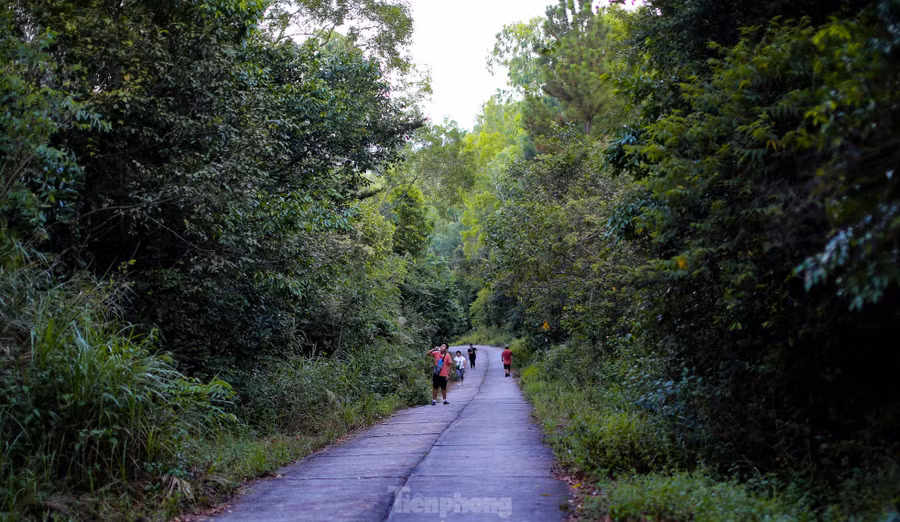 Người leo núi Vũng Chua tập thể dục và ngắm cảnh.