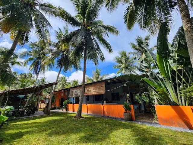 Anh Thịnh “biến” căn nhà gia đình đang ở thành homestay thu hút du khách