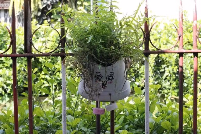 Người dân xóm đường tàu trồng nhiều cây xanh cho không gian thêm xanh mát