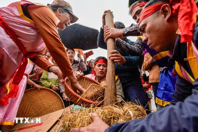 Di sản Văn hóa phi vật thể Quốc gia - Hội thổi cơm thi của làng Thị Cấm không chỉ là cuộc tranh tài khéo léo mà còn là biểu tượng của tinh thần cộng đồng, sự gắn kết và lòng biết ơn tổ tiên. (Ảnh: Khánh Hòa/TTXVN)
