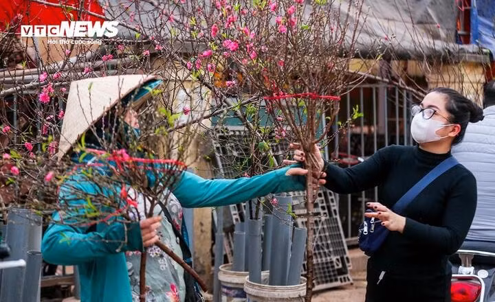 Chuyên gia nhận định kỳ nghỉ Tết Nguyên đán năm nay, miền Bắc có thể đón không khí lạnh. (Ảnh minh hoạ: Ngô Nhung)