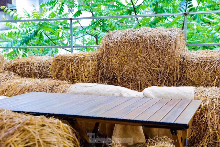 Nằm trên phố Huế sầm uất, một địa điểm có mặt tiền khiêm tốn nhưng bên trong là không gian rộng hơn 300m2. Mô hình cho thuê không gian làm việc ở ngay trung tâm Hà Nội với cách thu tiền theo giờ giống như… quán nét đang thu hút đông giới trẻ tìm đến làm việc, thư giãn.