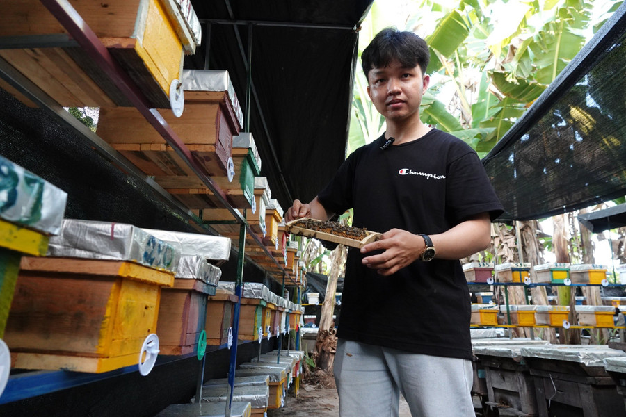 Nuôi ong chúa bán giống, nam sinh Đỗ Công Tạo có thu nhập ổn định gần 20 triệu đồng/tháng Nuôi ong chúa bán giống, nam sinh Đỗ Công Tạo có thu nhập ổn định gần 20 triệu đồng/tháng