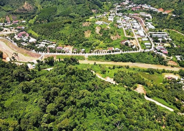 Khu rừng được người dân gọi với cái tên “rừng bác Năm Công”