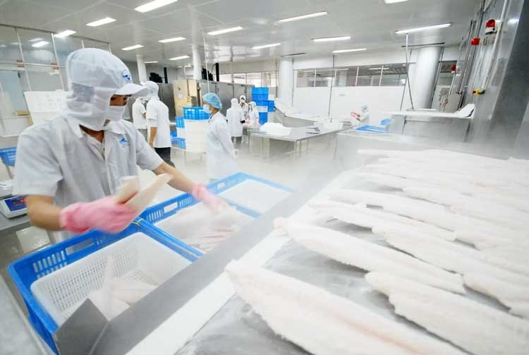 Việt Nam hiện là đối tác cung ứng thủy sản thứ 4 tại thị trường Singapore. Ảnh Hồng Thắm. Nguồn nongnghiepmoitruong.vn viet-nam-hien-la-doi-tac-cung-ung-thuy-san-thu-4-tai-thi-truong-singapore-anh-hong-tham-nguon-nongnghiepmoitruongvn.jpg