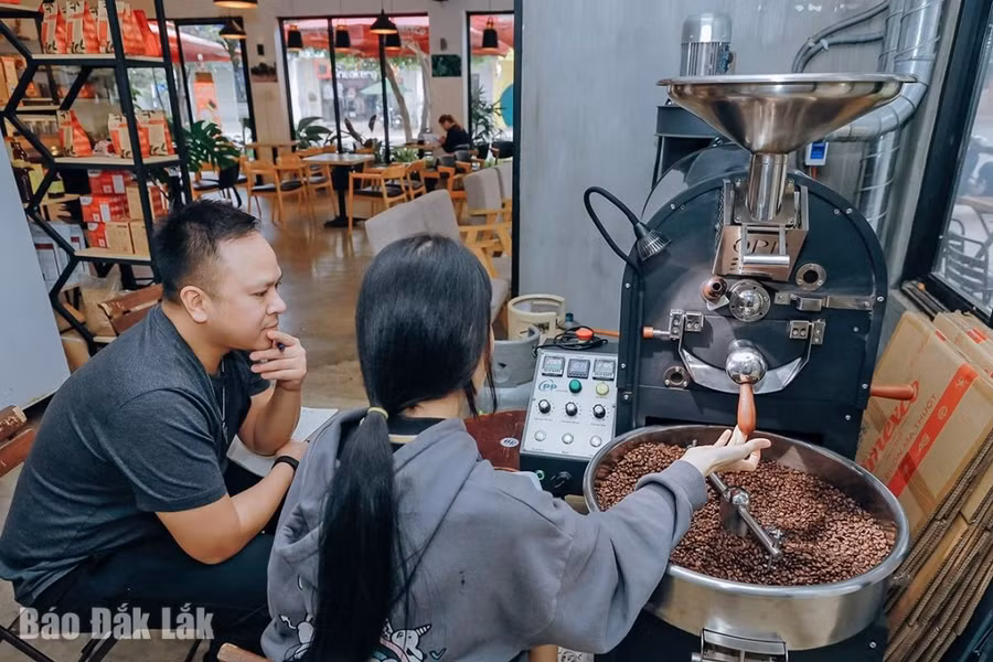 Thử làm “chuyên gia” trong các công đoạn chế biến rang, xay cà phê.