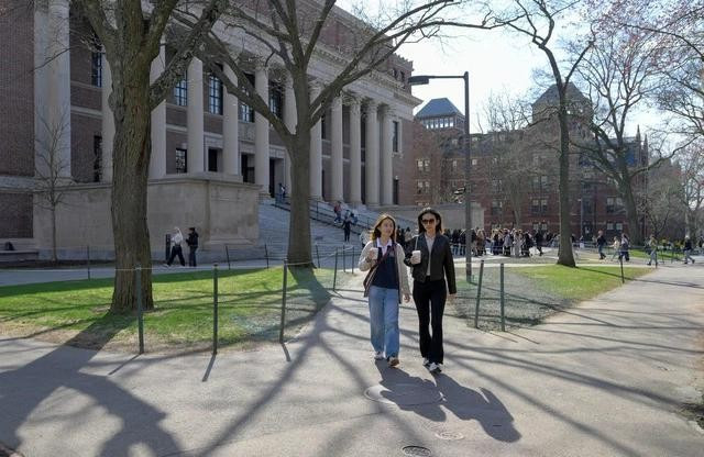 Sinh viên trong khuôn viên Đại học Harvard ở Cambridge, bang Massachusetts (Mỹ) Sinh viên trong khuôn viên Đại học Harvard ở Cambridge, bang Massachusetts (Mỹ)