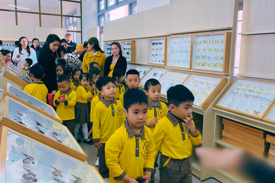 Học sinh tham quan Bảo tàng Côn trùng