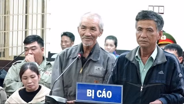 Các bị cáo bị tuyên phạt về tội "Làm giả tài liệu của cơ quan, tổ chức" và "Sử dụng tài liệu giả của cơ quan, tổ chức".