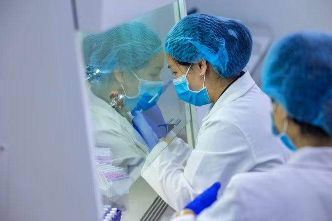 Ảnh minh hoạ. (Ảnh: Minh Sơn/Vietnam+)