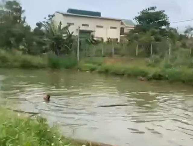 Hồ nước nơi xảy ra vụ chết đuối thương tâm Hồ nước nơi xảy ra vụ chết đuối thương tâm