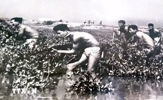 Bộ đội đặc công hải quân huấn luyện tại hậu cứ Vĩnh Linh (Quảng Trị), năm 1968